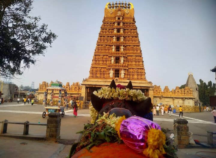Know All About Nanjangud Temple, Dakshina Kashi Of India