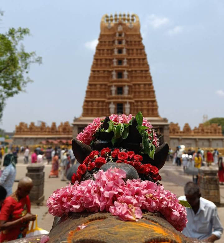 Know All About Nanjangud Temple, Dakshina Kashi Of India