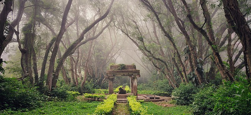 Weekend Getaways: Top Hill Stations To Visit Near Bangalore