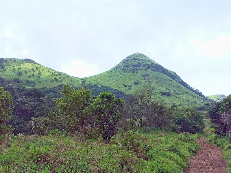 Weekend Getaways: Top Hill Stations To Visit Near Bangalore