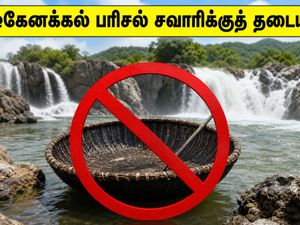 ஒகேனக்கல் ட்ரிப் போறீங்களா? பரிசல் சவாரிக்குத் தடை! இந்த 3 இடங்களுக்குப் போங்க, ஜாலியா என்ஜாய் பண்ணுங்க!