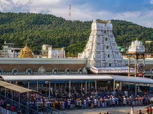 திருமலை தரிசனத்திற்குச் செல்கிறீர்களா? இன்றைய காத்திருப்பு நேரம் மற்றும் முக்கிய அப்டேட்கள் இதோ!