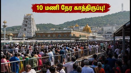 திருப்பதி தரிசனம்: 10 மணி நேர காத்திருப்பு! இன்று திருமலைக்குச் செல்பவர்கள் கவனத்திற்கு!