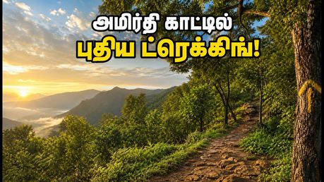 வேலூர் அமிர்தி காட்டில் புதிய ட்ரெக்கிங் பாதைகள்! வார இறுதியில் செல்ல இதுதான் பெஸ்ட் சாய்ஸ்!