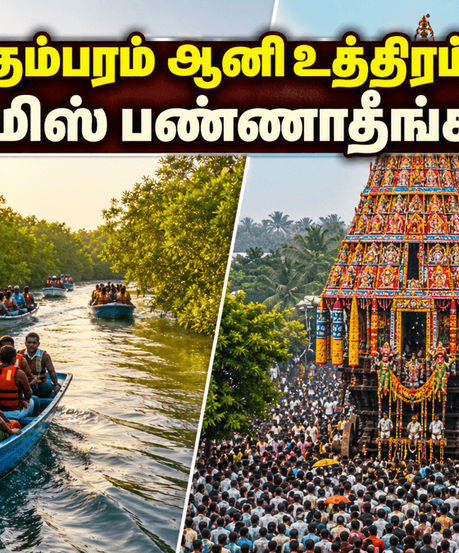 சிதம்பரம் ஆனி உத்திரம்: மகா ரத தரிசனம் மற்றும் பிச்சாவரம் படகு சவாரி - இந்த வார இறுதியில் இப்படி ஒரு ட்ரிப் போயிருக்கீங்களா?