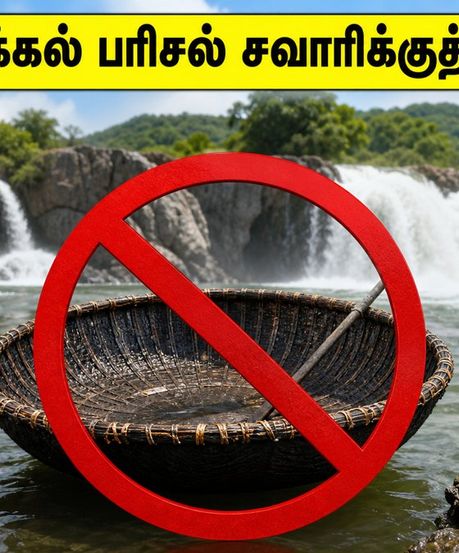 ஒகேனக்கல் ட்ரிப் போறீங்களா? பரிசல் சவாரிக்குத் தடை! இந்த 3 இடங்களுக்குப் போங்க, ஜாலியா என்ஜாய் பண்ணுங்க!