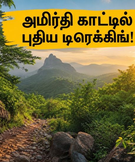 சென்னைவாசிகளே ரெடியா? வேலூர் அமிர்தி காட்டில் புதிய டிரெக்கிங் பாதை - இந்த வாரமே கிளம்பலாம்!