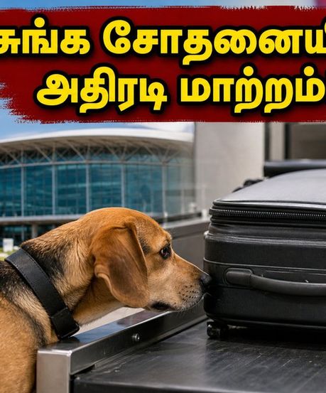 சென்னை விமான நிலையத்தில் அதிரடி சுங்க சோதனை.. சர்வதேச பயணிகள் கவனத்திற்கு! தாமதத்தைத் தவிர்க்க இதோ டிப்ஸ்