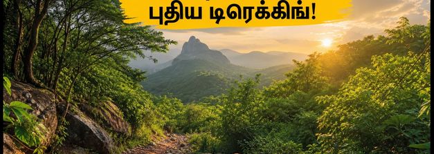 சென்னைவாசிகளே ரெடியா? வேலூர் அமிர்தி காட்டில் புதிய டிரெக்கிங் பாதை - இந்த வாரமே கிளம்பலாம்!