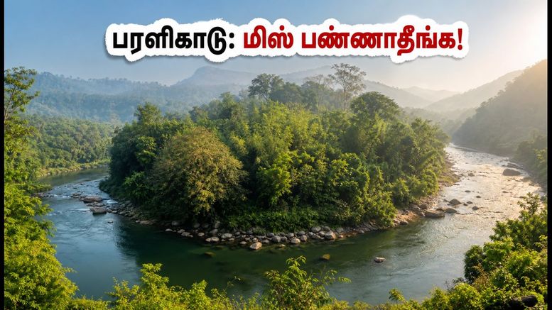 கோயம்புத்தூர் அருகே ஒரு இயற்கை சொர்க்கம்! அக்டோபர் 10-12 வார இறுதியில் பரளிகாடு செல்ல பிளான் போடுங்க!