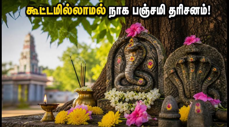 நாக பஞ்சமி 2026: கூட்ட நெரிசலில் சிக்காமல் அமைதியாக தரிசனம் செய்ய சிறந்த கோயில்கள் இதோ!