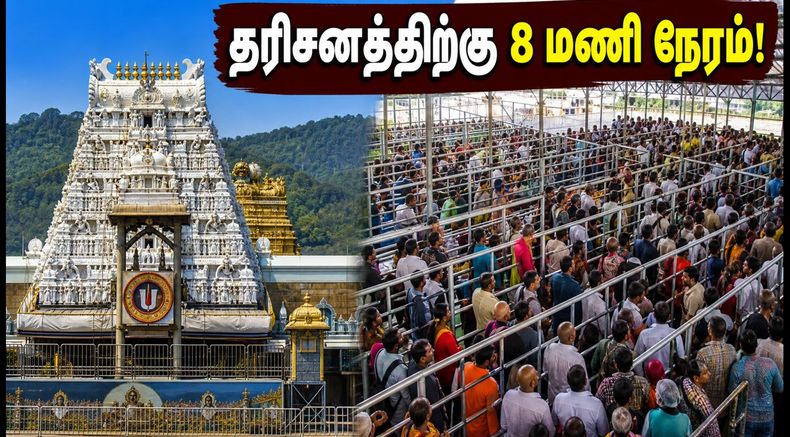 திருப்பதி தரிசன நிலவரம்: இன்று 8 மணி நேரம் காத்திருப்பு - பக்தர்கள் கவனத்திற்கு!