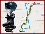 10 கி.மீட்டருக்கு நீண்டு கிடக்கும் பாம்பு! பொய் பேசுபவர்களை துரத்திக் கொள்ளும்.!