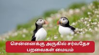 25 கோடி ரூபாய் செலவில் சென்னைக்கு அருகில் அழகிய பறவைகள் பாதுகாப்பு மையம்!