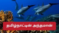 தமிழ்நாட்டில் உள்ள அந்தமான் தீவுக்குச் செல்ல வேண்டுமா – ரூ.300 இருந்தால் போதும்!