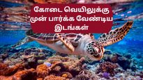 கோடை தொடங்குவதற்கு முன் தமிழ்நாட்டின் இந்த சுற்றுலாத் தலங்களுக்கு ஒரு ட்ரிப் பிளான் பண்ணுங்கள்!