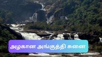 கோடையிலும் வற்றாத அங்குத்தி சுனை - ரூ.150 போதும் நீர்வீழ்ச்சியில் ஆனந்த குளியல் போட!
