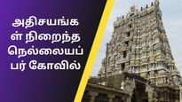 கருங்கல் தூண்களில் இருந்து வரும் இசை – அதிசயங்கள் நிறைந்த நெல்லையப்பர் கோவில்!