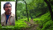 தனி மனிதனாக 4 கோடி மரங்களை நட்ட ‘ஜாதேவ் பயங்' - ஒரு காட்டையே உருவாக்கிய ஜாதவ்!