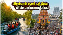 சிதம்பரம் ஆனி உத்திரம்: மகா ரத தரிசனம் மற்றும் பிச்சாவரம் படகு சவாரி - இந்த வார இறுதியில் இப்படி ஒரு ட்ரிப் போயிருக்கீங்களா?