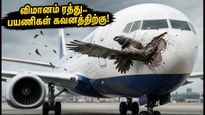 லண்டன் செல்லும் பிரிட்டிஷ் ஏர்வேஸ் விமானம் ரத்து.. சென்னை பயணிகள் கடும் அவதி! மாற்று வழி இதோ