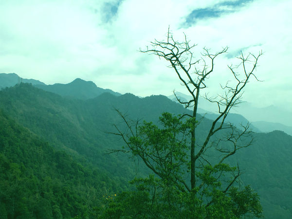 லக்கிடி 