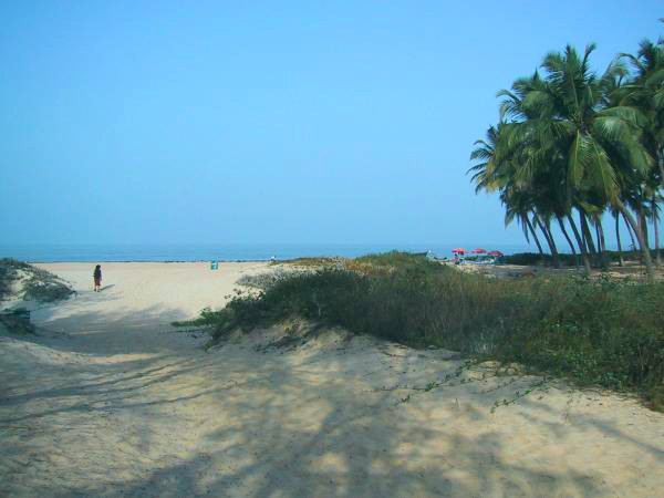 அரோசிம் பீச்