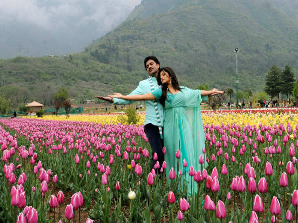 இந்திரா காந்தி துலிப் தோட்டம், ஸ்ரீநகர்