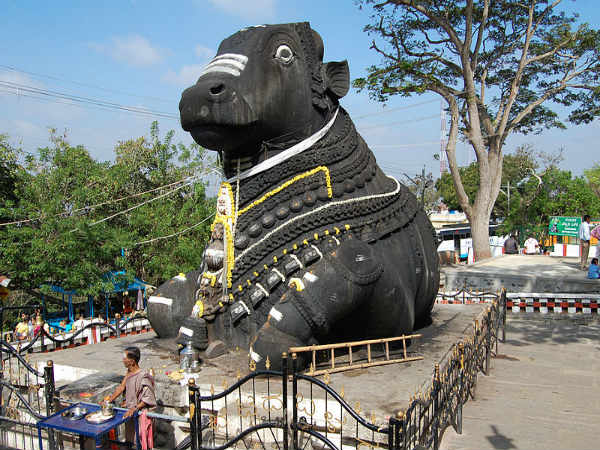 சாமுண்டி ஹில்ஸ், மைசூர் சாமுண்டி ஹில்ஸ், மைசூர்