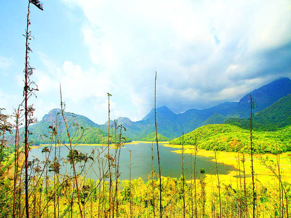 கேரளா கேரளா
