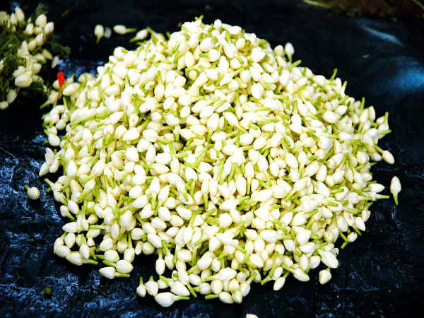 மதுரை மல்லி மதுரை மல்லி