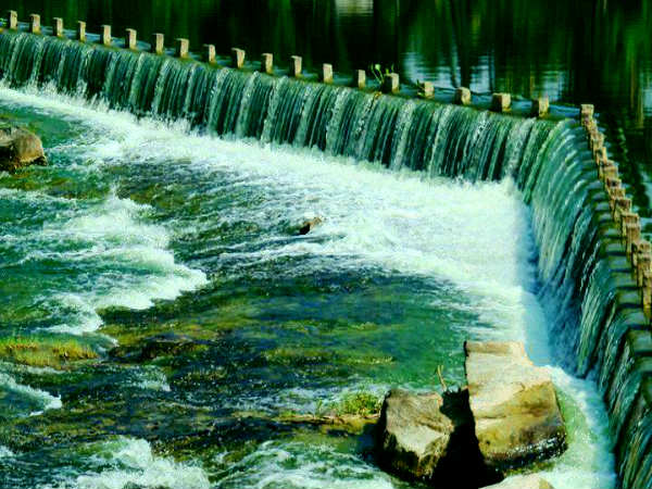 கொடிவேரி அணைக்கட்டு