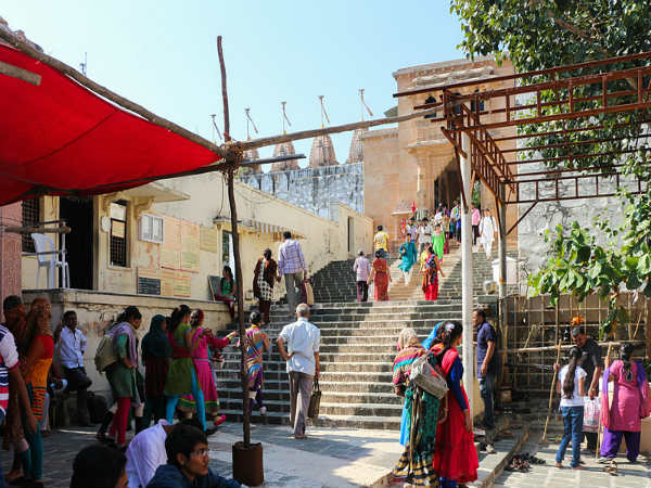 மரத்துக்கடியில் புதையல்!