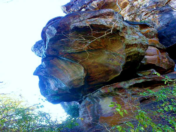 மனித முகம் 