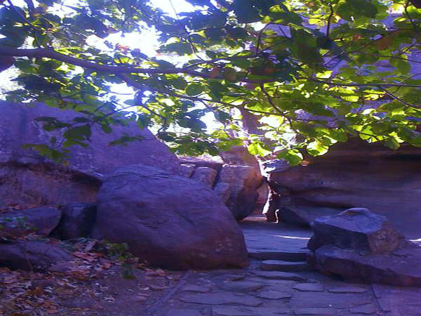 பாறை வாழிடங்கள்