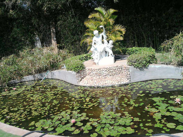 தாமரைக் குளம் தாமரைக் குளம்