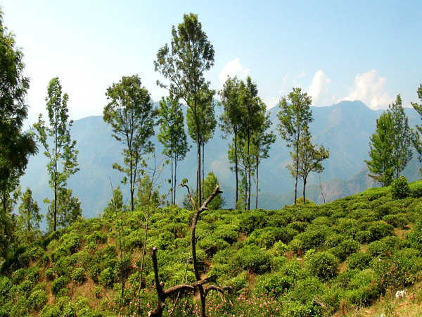 மலையேற்றம்