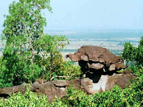 ஆமைப்பாறை, ராய்சன்