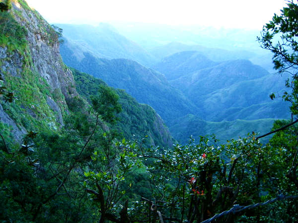 தற்கொலை முனை