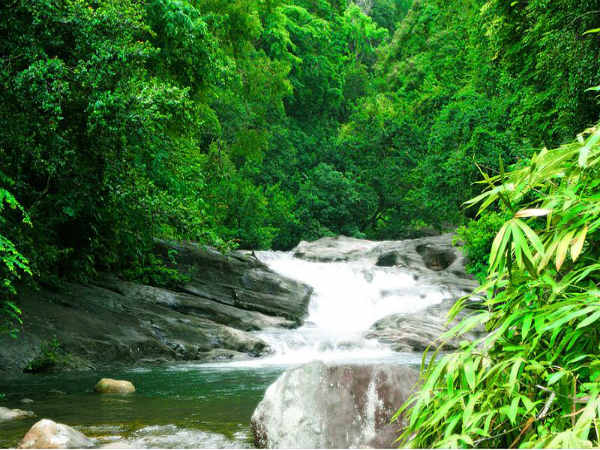 பொன்முடி