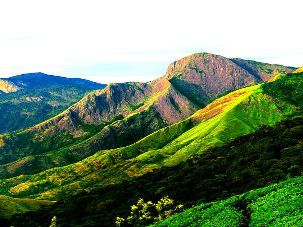 லைப் ஆஃப் பை