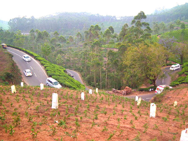 வியூ பாயிண்ட்