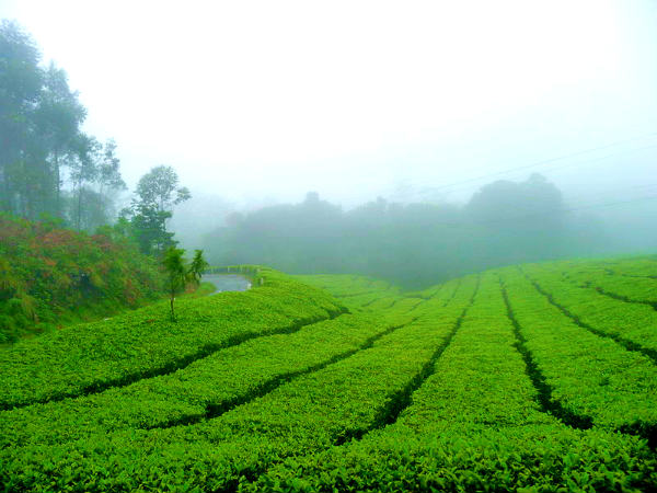 எப்போது சுற்றுலா செல்லலாம்?