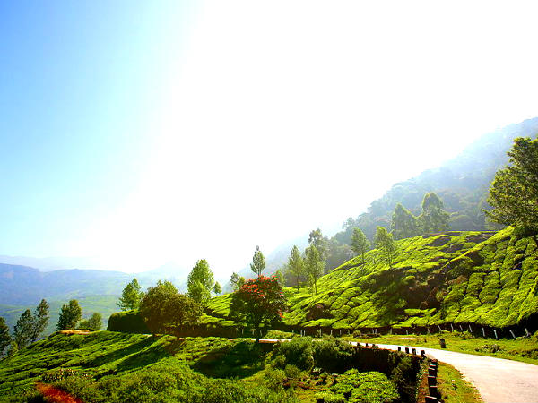 இயற்கையோடு கொஞ்ச தூரம்...!