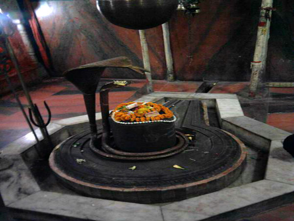 ஹரிஹரநாத் சிவலிங்கம்