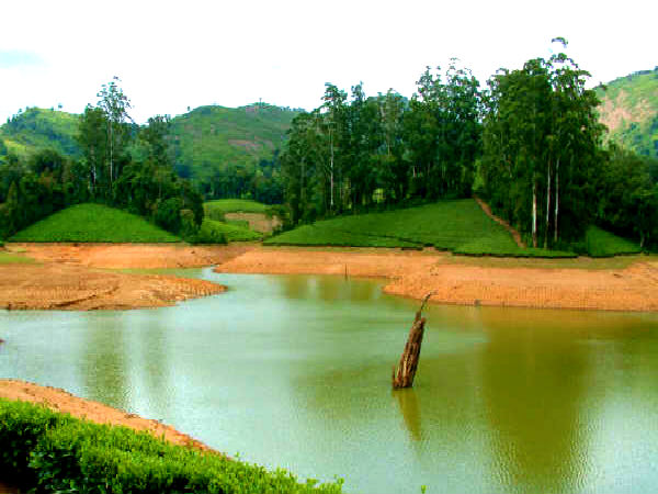 ஹைவேவிஸ்