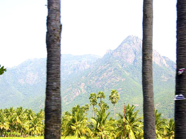 பேளுக்குறிச்சியிலிருந்து... பேளுக்குறிச்சியிலிருந்து...