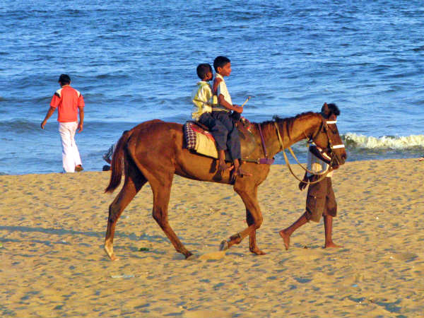 குதிரைச் சவாரி