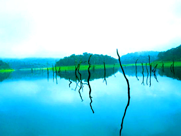 பெரியார் காட்டுயிர் சரணாலயம் பெரியார் காட்டுயிர் சரணாலயம்