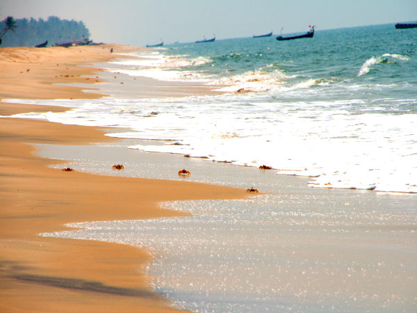 ஆலப்புழா கடற்கரை